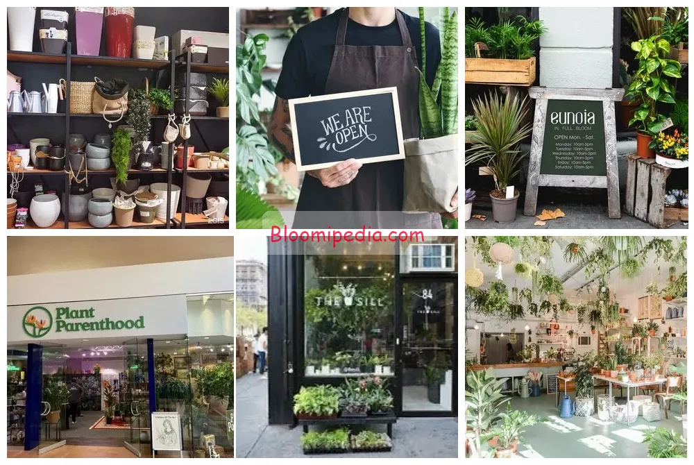 Explore the top 7 plant stores near me